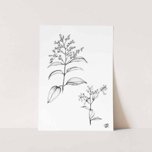 Shrubs by Jenna Art Print