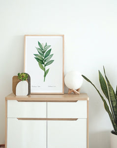 Smilacina Plant Art Print