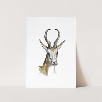 wall art of springbok