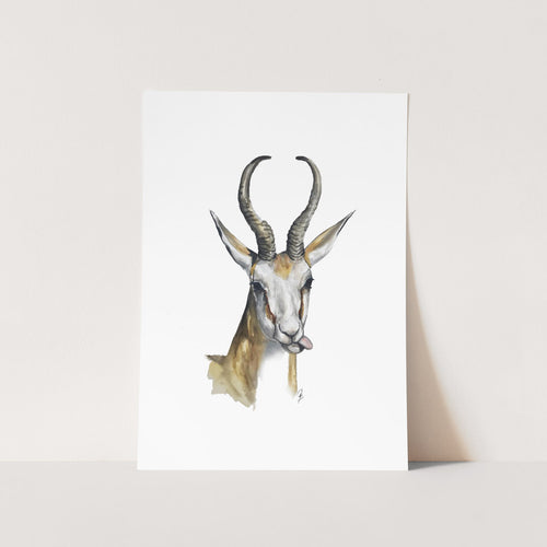wall art of springbok