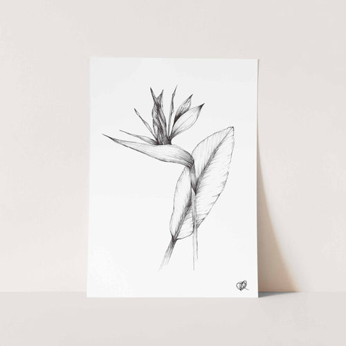 Stralitzia by Jenna Art Print