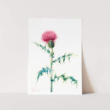 Thistle Art Print