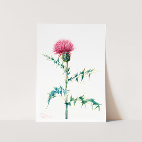 Thistle Art Print