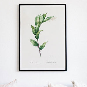 Treacleberry Plant Framed Black Art Print