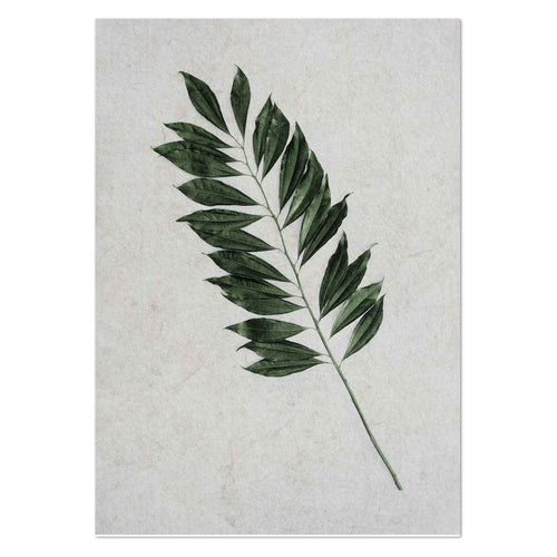 Tropical Leaf by Sonjé Art Print
