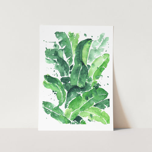 Tropical Botanicals Watercolour 1 Art Print