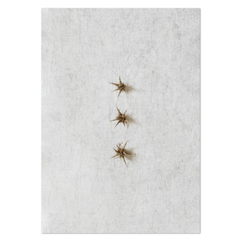 Wild Botanical 8 Art Print