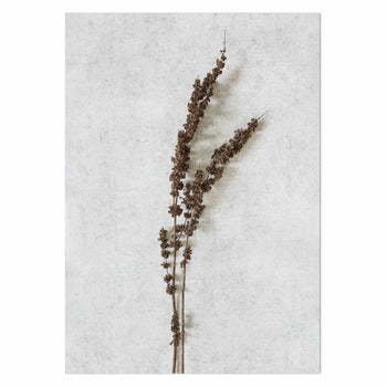 Wild Botanical 10 Art Print