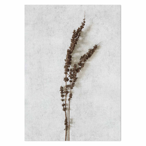 Wild Botanical 10 Art Print