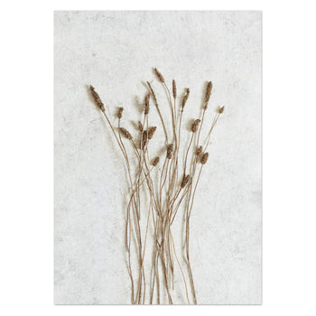 Wild Botanical 3 Art Print