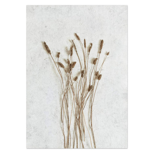 Wild Botanical 3 Art Print