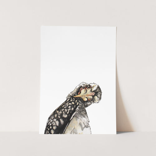 wall art of watercolour hornbill bird