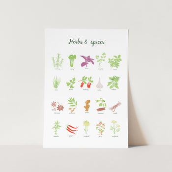 Herbs and Spices Art Print
