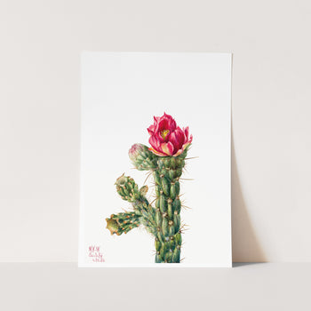 iWalkingstick Cholla (1934) Art Print