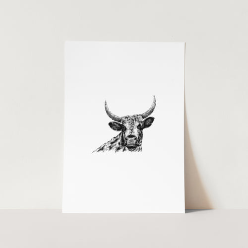 Nguni Cattle Sketch Art Print