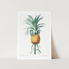 Load image into Gallery viewer, Pineapple Plant Art Print