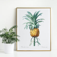 Load image into Gallery viewer, Pineapple Plant Art Print