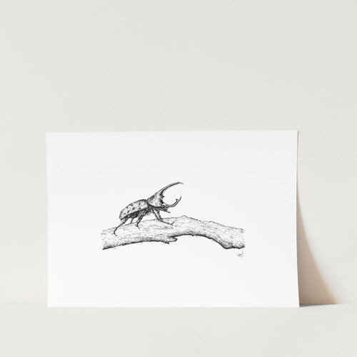 Rhino Beetle Sketch Art Print