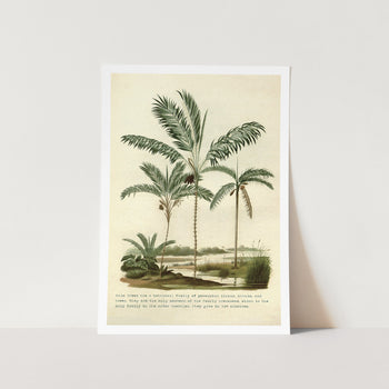 Vintage Palm Trees Water Art Print
