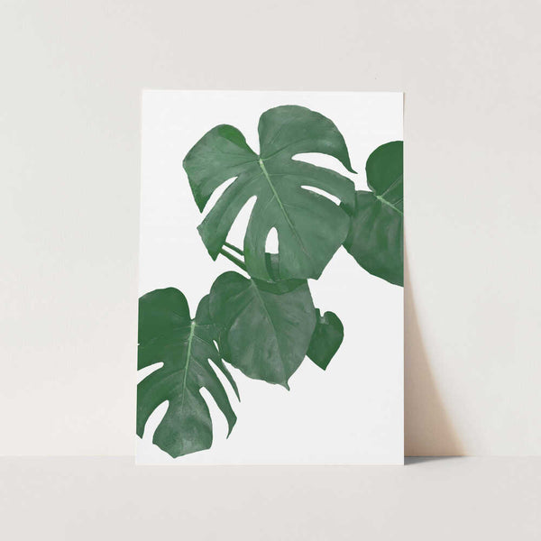 Monstera Aqua 01 PFY Art Print