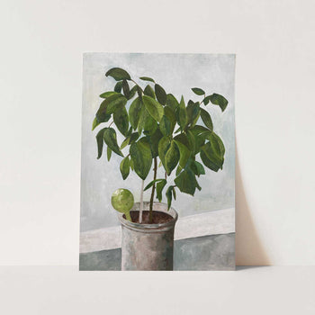 Verdant Serenity PFY Art Print