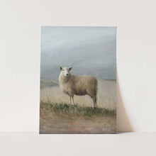 Load image into Gallery viewer, Sheep Study PFY Art Print