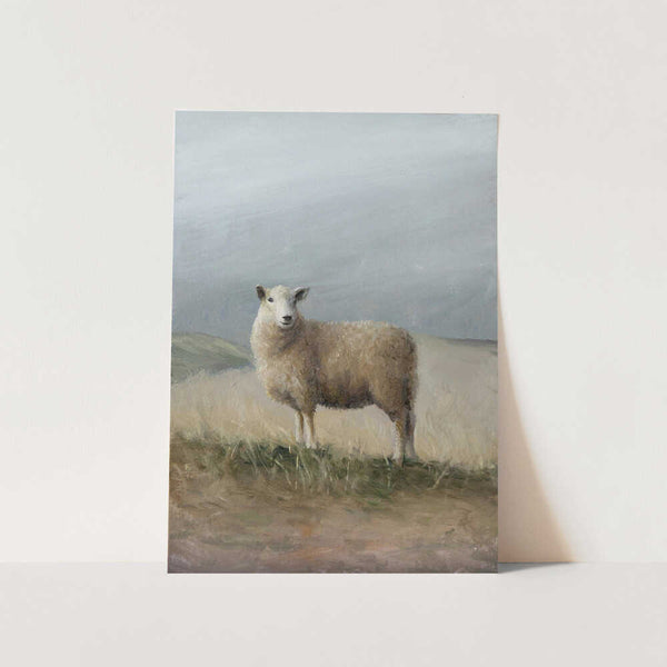 Sheep Study PFY Art Print