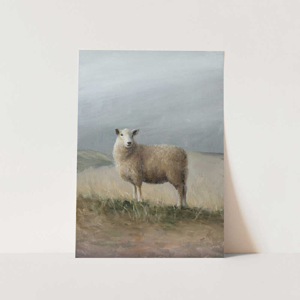 Sheep Study PFY Art Print
