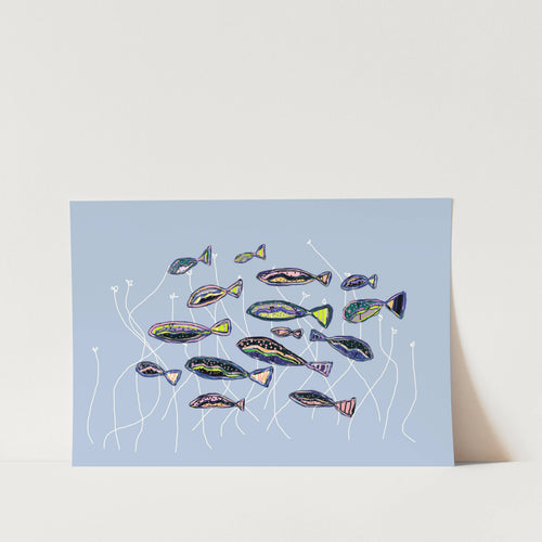 Colorful School of Fish PFY Art Print