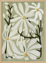 Load image into Gallery viewer, Star Magnolia Florals on Sage background PFY Art Print