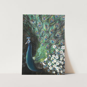 Acrylic Peacock Art Print