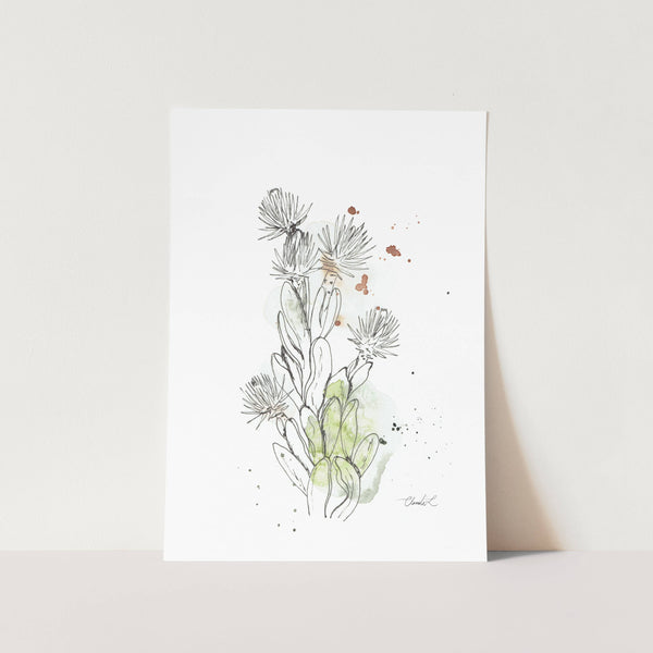 Abstract Cape Snow Fynbos Art Print