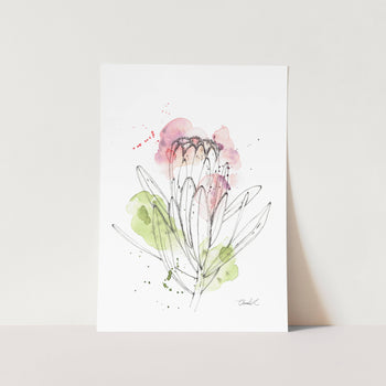 Abstract Narrow Leaf Protea Art Print