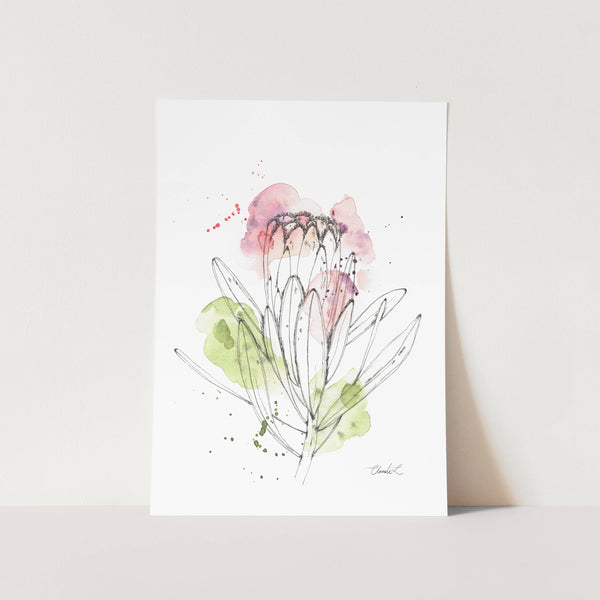 Abstract Narrow Leaf Protea Art Print