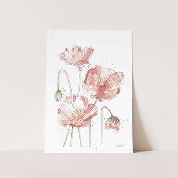 Abstract Peach Coloured Poppies Art Print