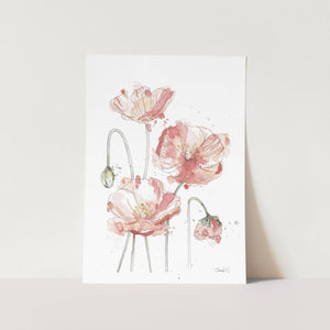 Abstract Peach Coloured Poppies Art Print