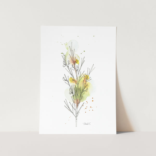 Abstract Rooibos Art Print