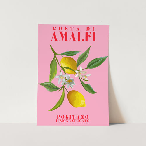 Amalfi Coast Art Print