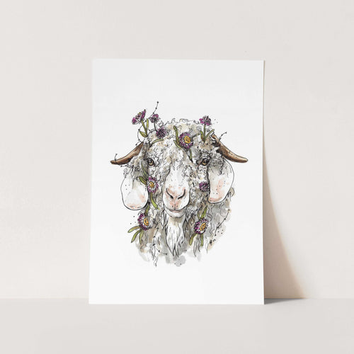 Angora Goat Art Print