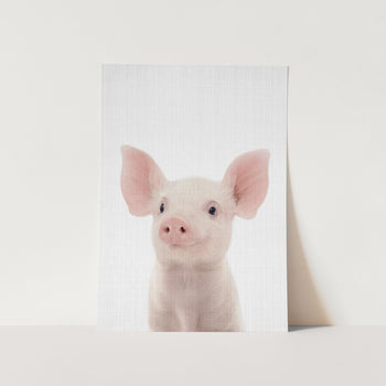 Peekaboo Baby Pig PFY Art Print