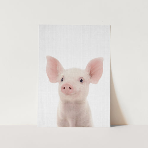 Peekaboo Baby Pig PFY Art Print