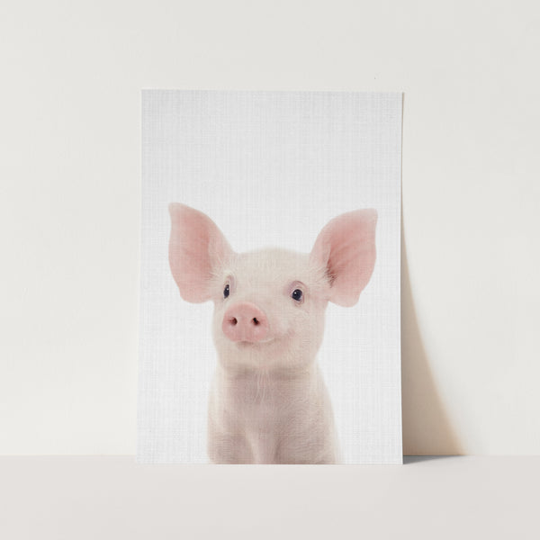 Peekaboo Baby Pig PFY Art Print