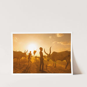 Back to the Cattle 02 PFY Art Print