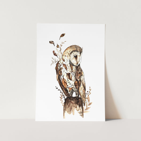 Barn Owl Art Print