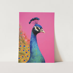 Beautiful Peacock PFY Art Print