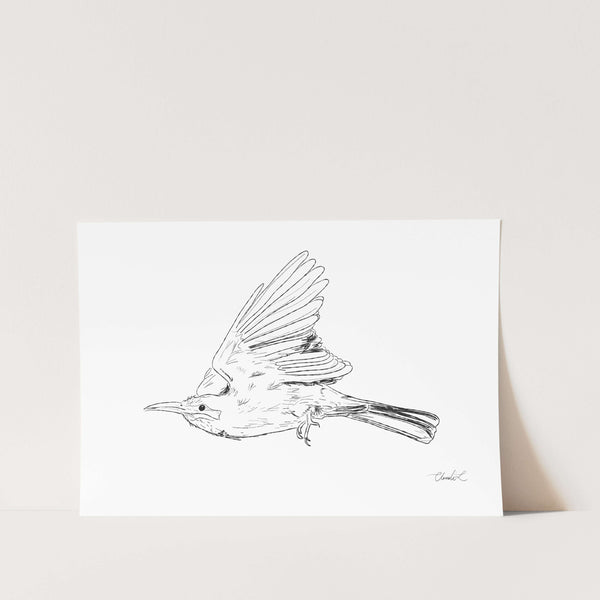 Bee-eater in Flight Art Print