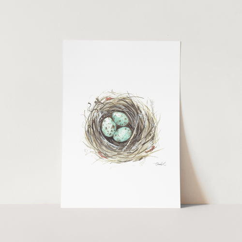 Bird's Nest Art Print