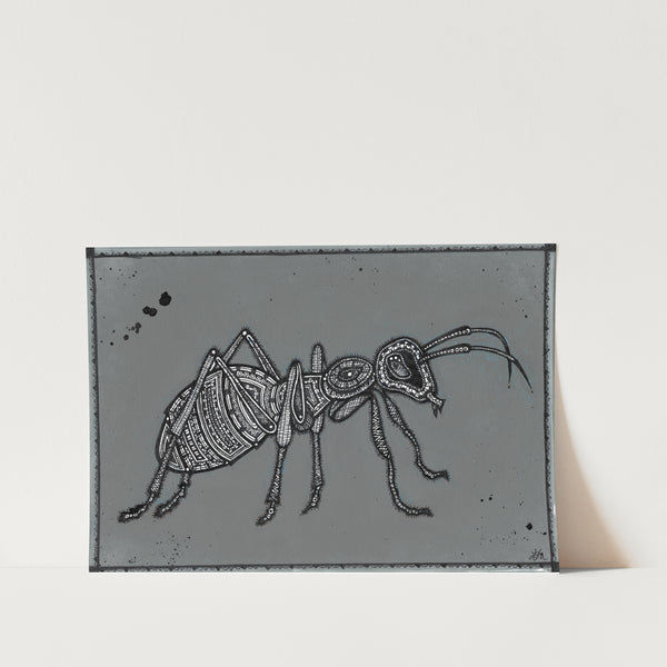 Black Ant Art Print