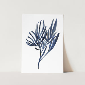 Blue Aquatic Plant 03 PFY Art Print