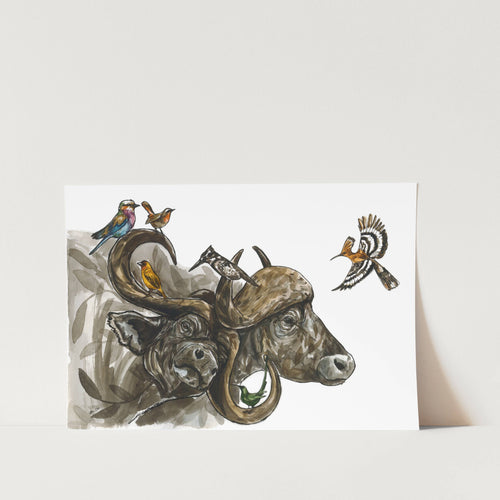 Buffels Art Print
